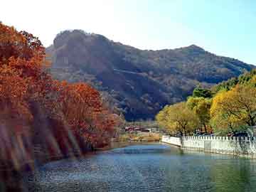 澳门二四六天天彩图库，古书价格